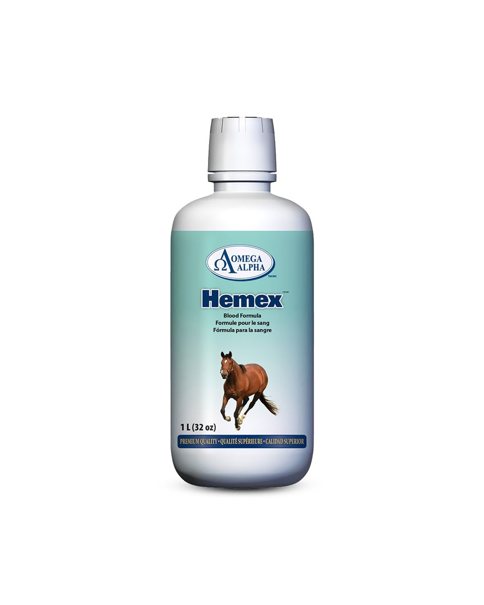 Omega Alpha Hemex equine supplement