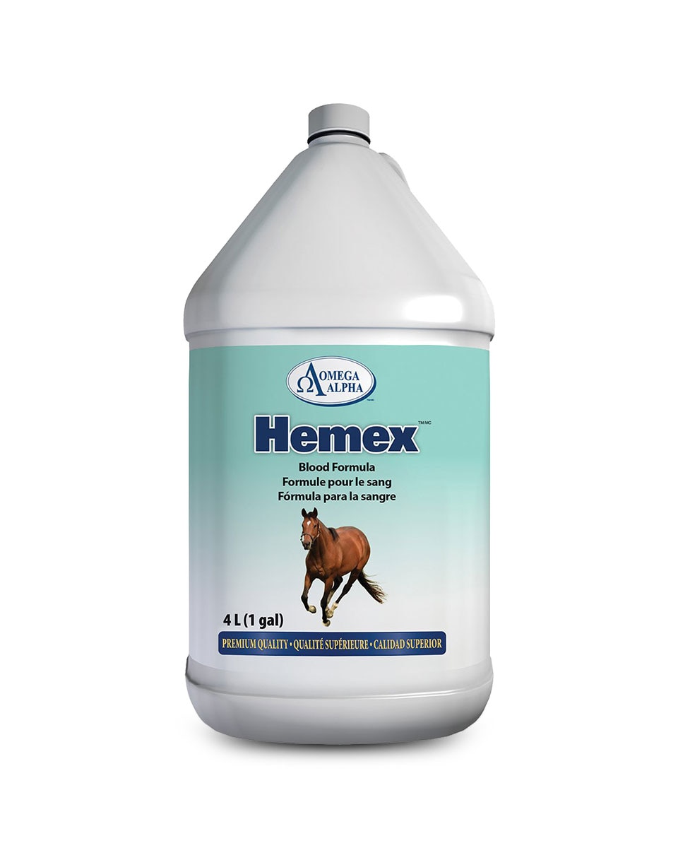 Omega Alpha Hemex equine supplement