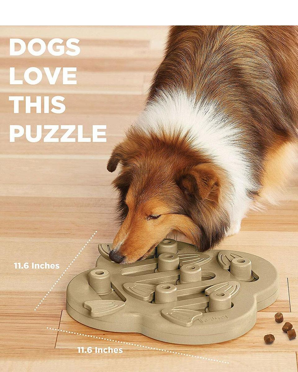 Hide N' Slide Interactive Puzzle Dog Toy from Nina Ottosson