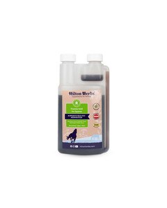 Freeway Gold allergy supplement for horses from Hilton Herbs