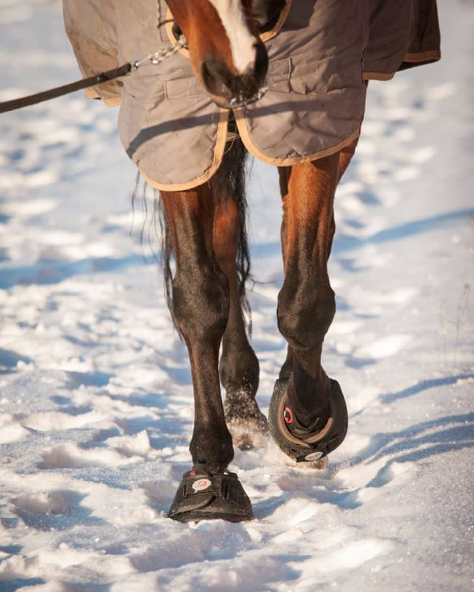 Cavallo Trek Hoof Boot