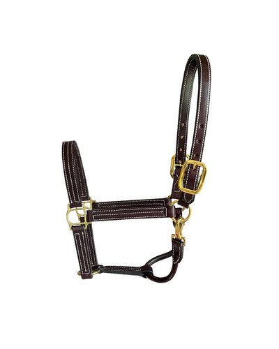 Horse Cents Leather Show Halter 
