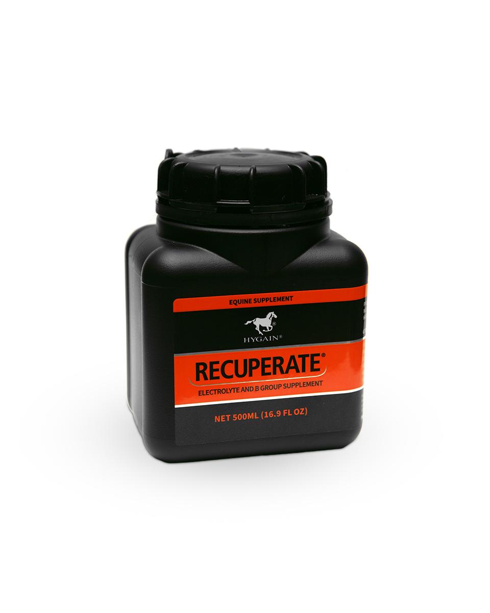 Recuperate equine energy supplement by Hygain