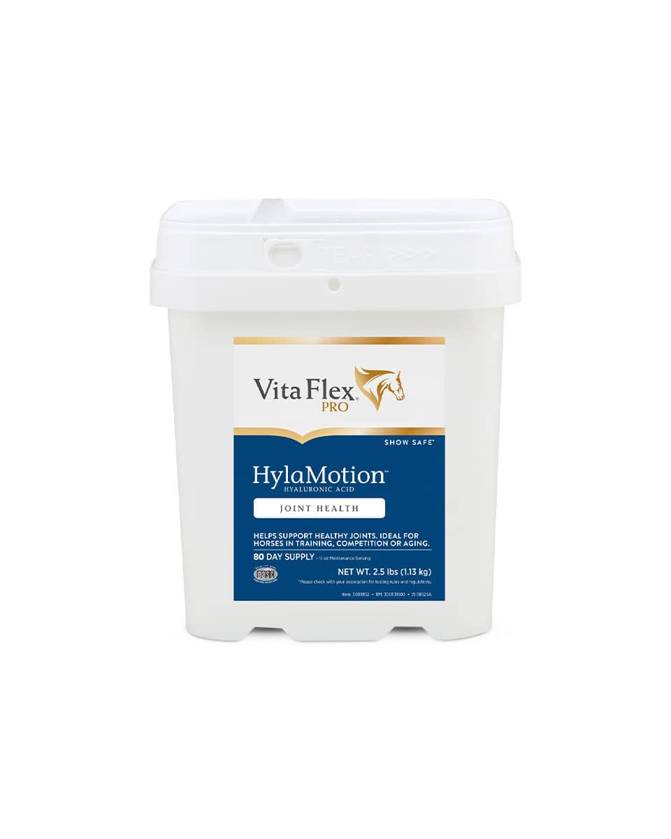 Vita Flex Hylamotion for Horses