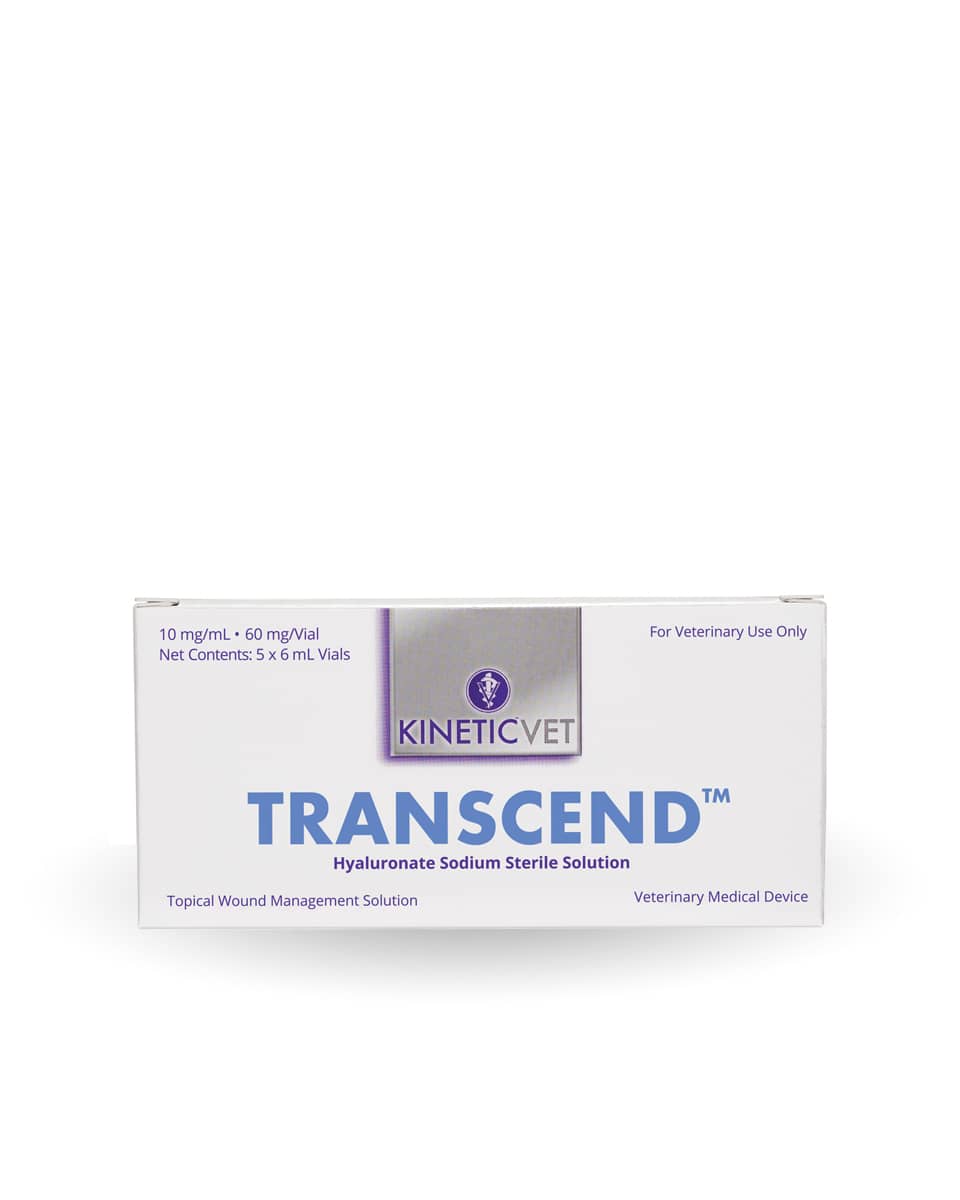 Transcend Hyaluronate sterile solution for dogs, cats and horses from Kinetic Vet