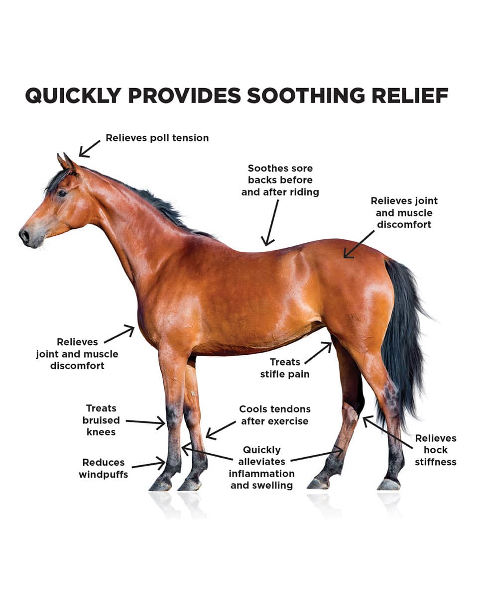 Ice Horse Cooling Liniment