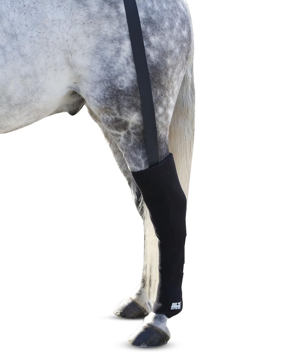 Ice Horse Full Hind Leg Wraps