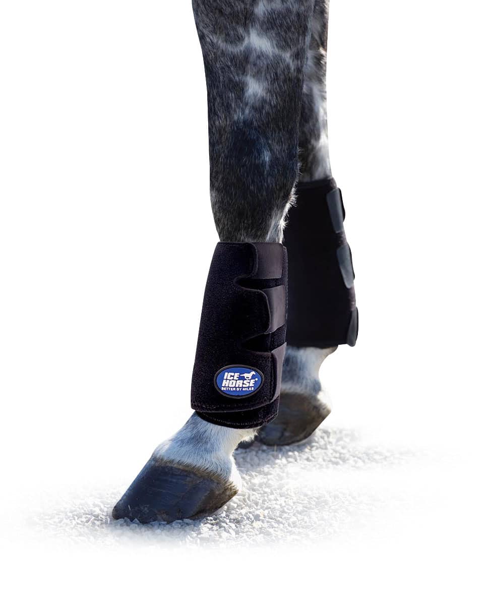 Ice leg wraps deals for horses
