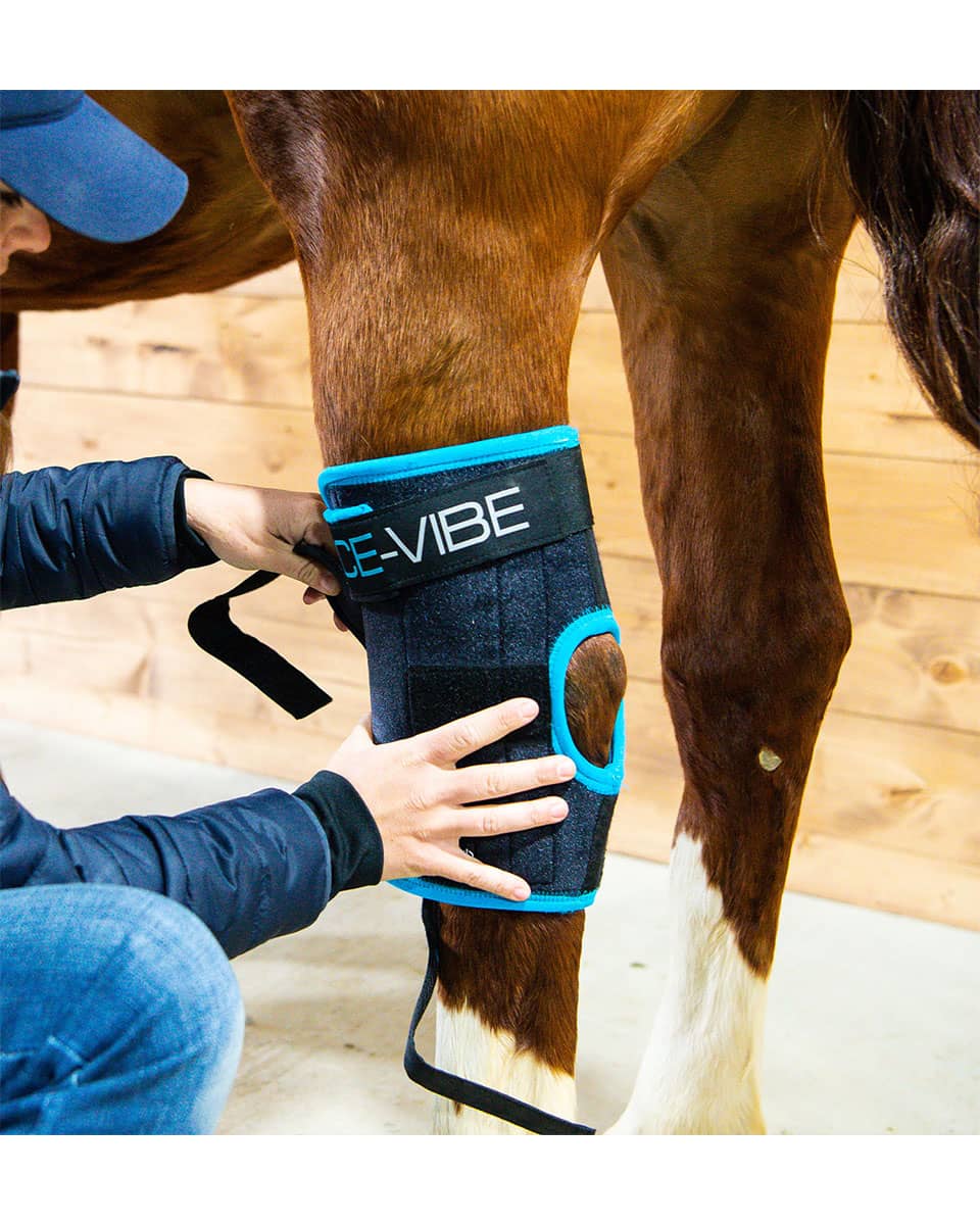 Ice-Vibe Hock Wraps from Horseware Ireland