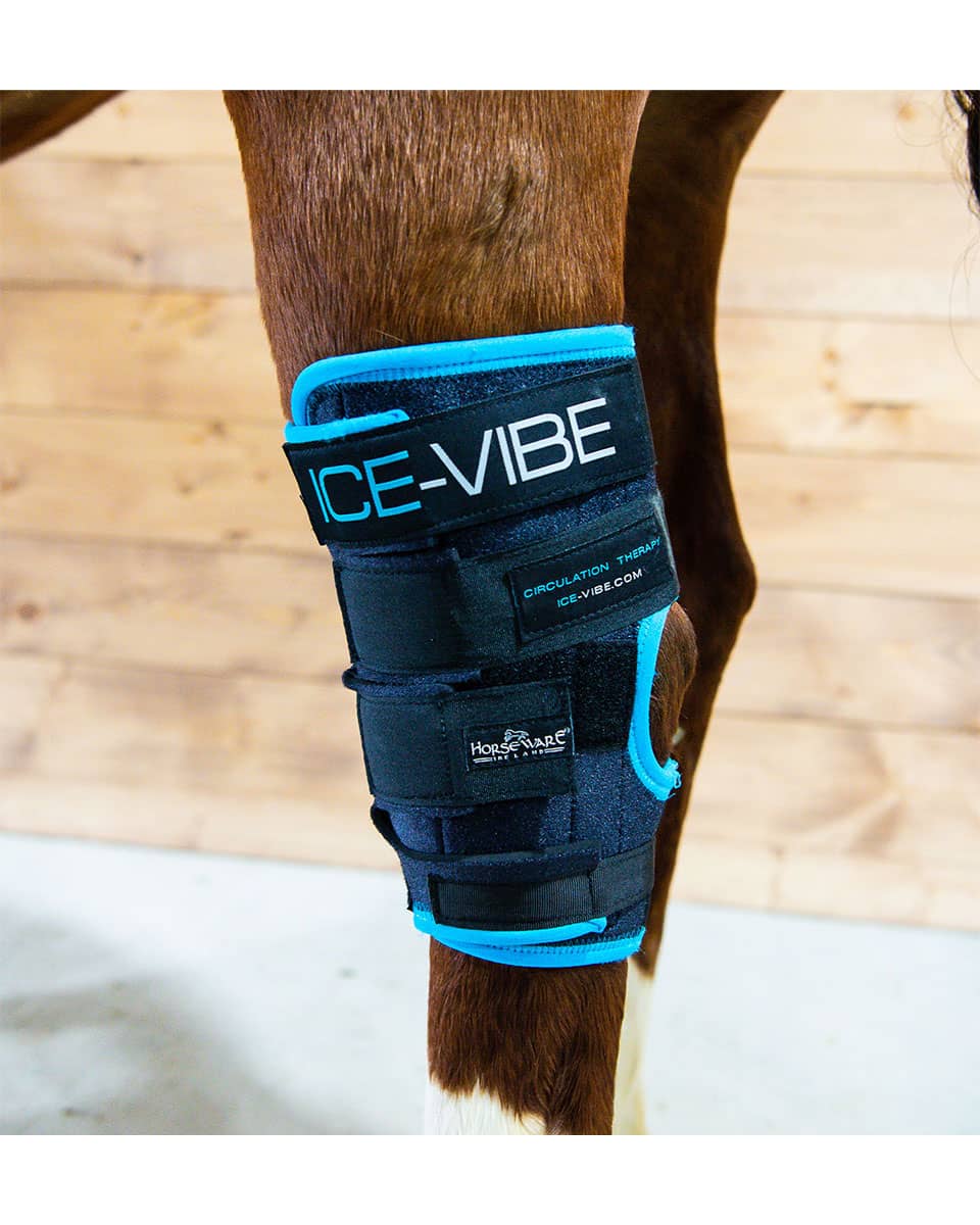 Ice-Vibe Hock Wraps from Horseware Ireland