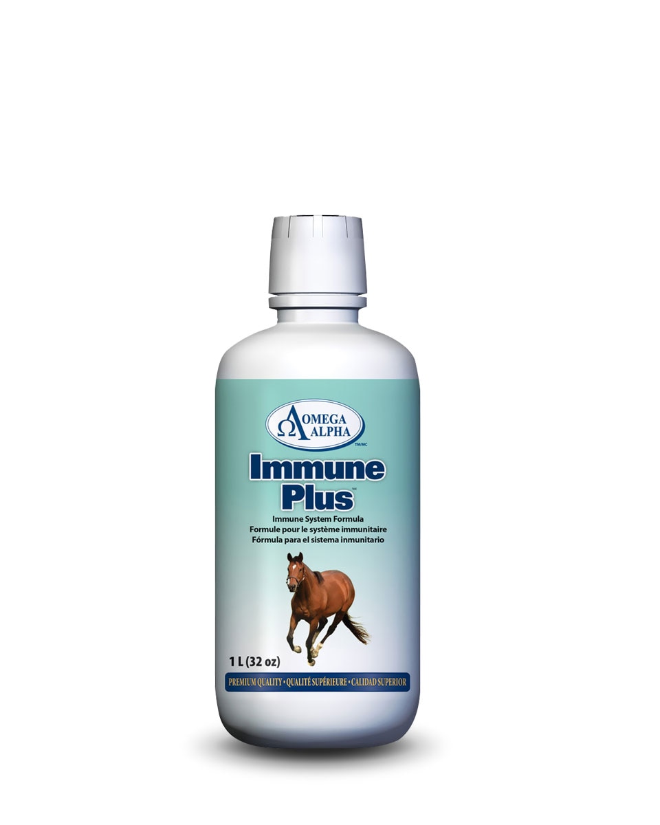 Omega Alpha Immune Plus