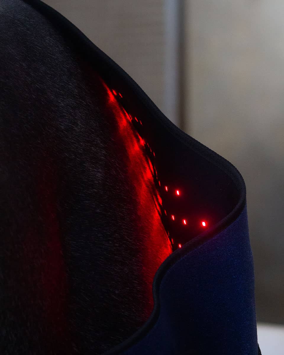RevitaVet Infrared Therapy Blanket