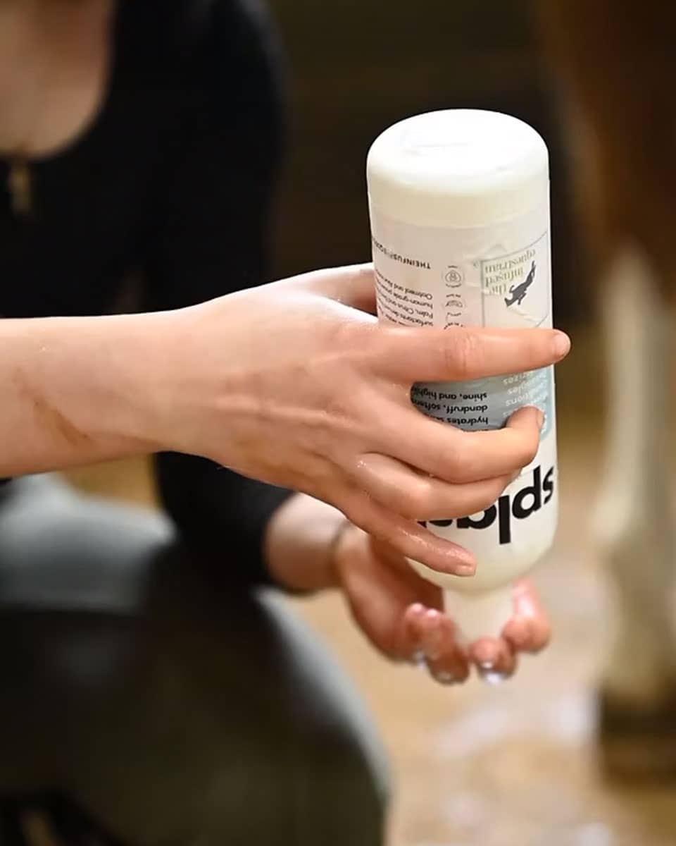 Infused Equestrian splash. Shampoo