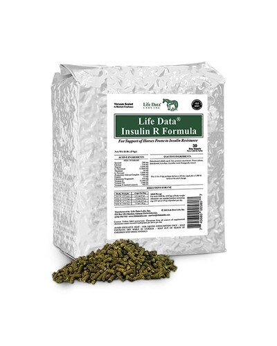 Life Data Insulin R Formula for horses