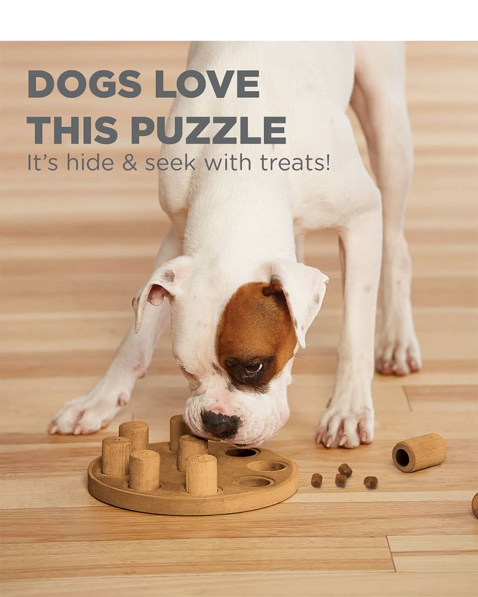 Smart Composite Interactive Puzzle Dog Toy from Nina Ottosson