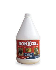 Iron-X-Cell