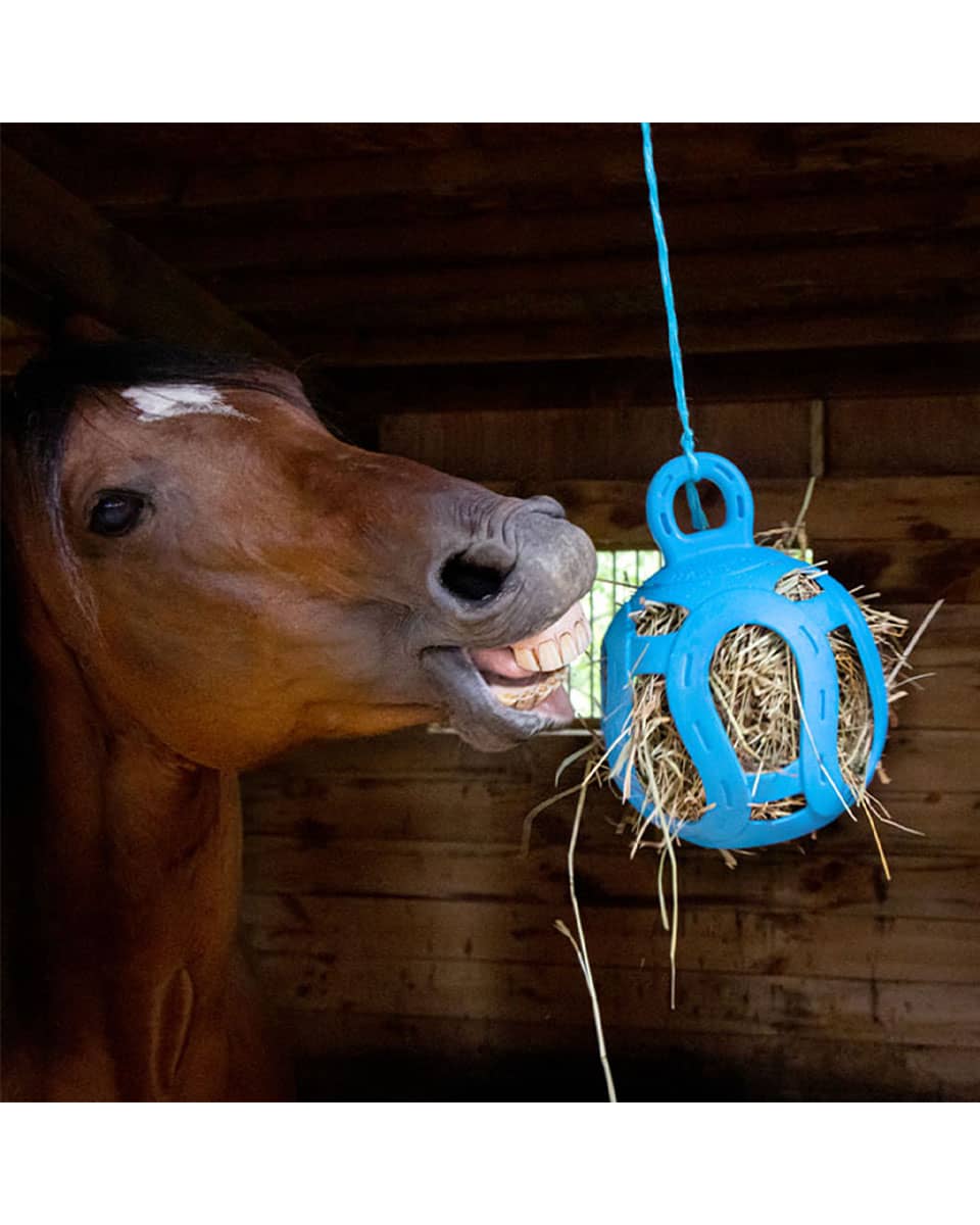 Jolly Hay Ball