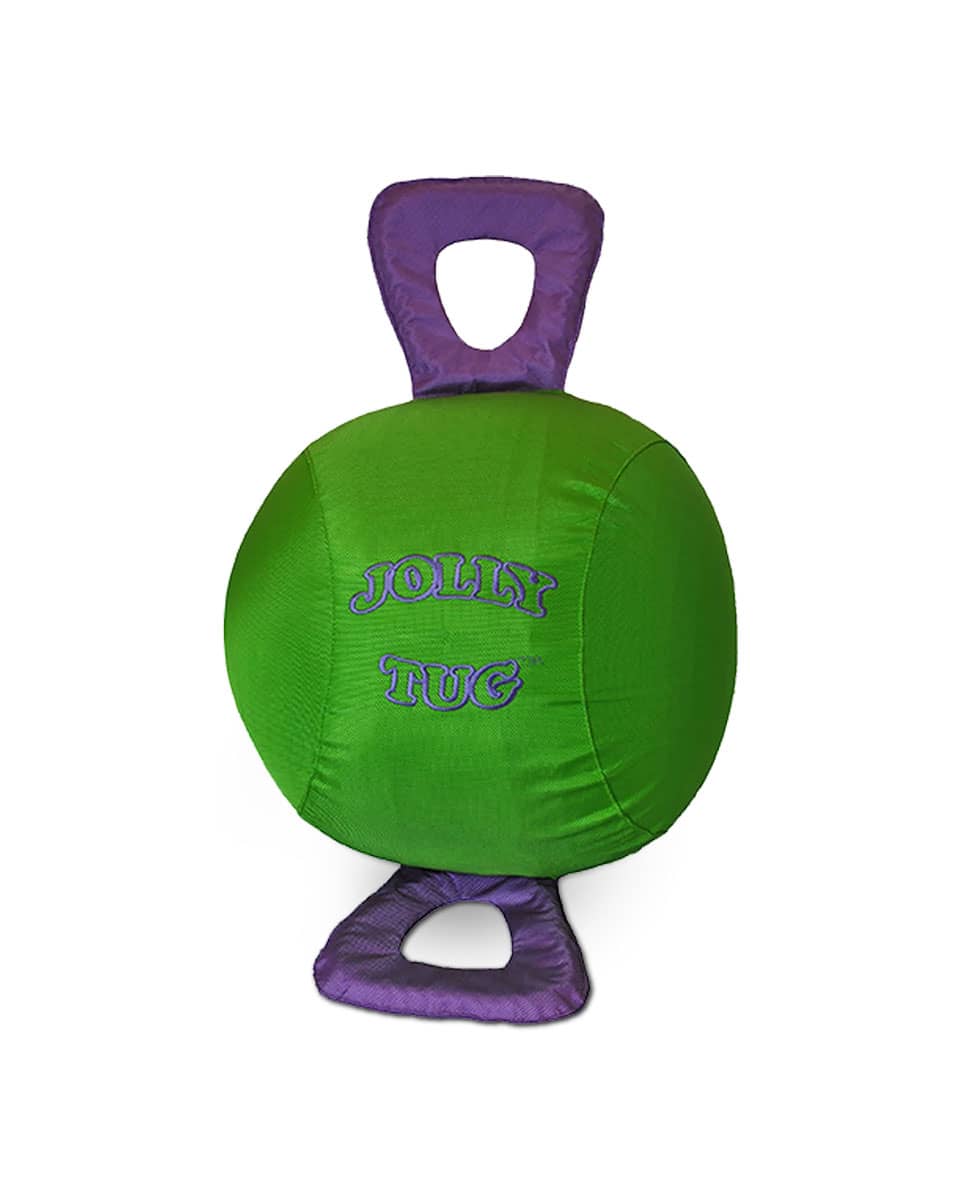 Jolly Tug Equine Toy