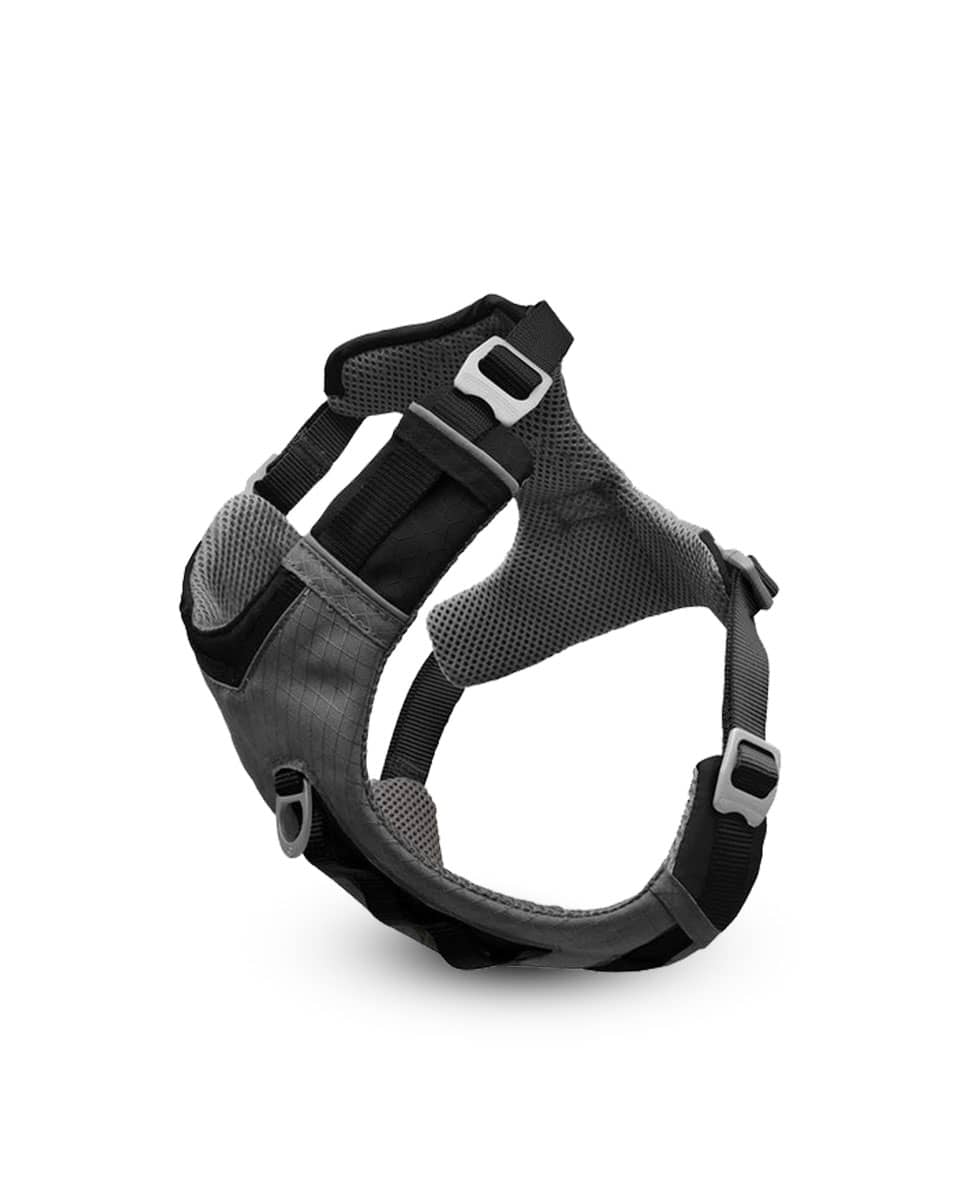 Kurgo Journey Air Dog Harness