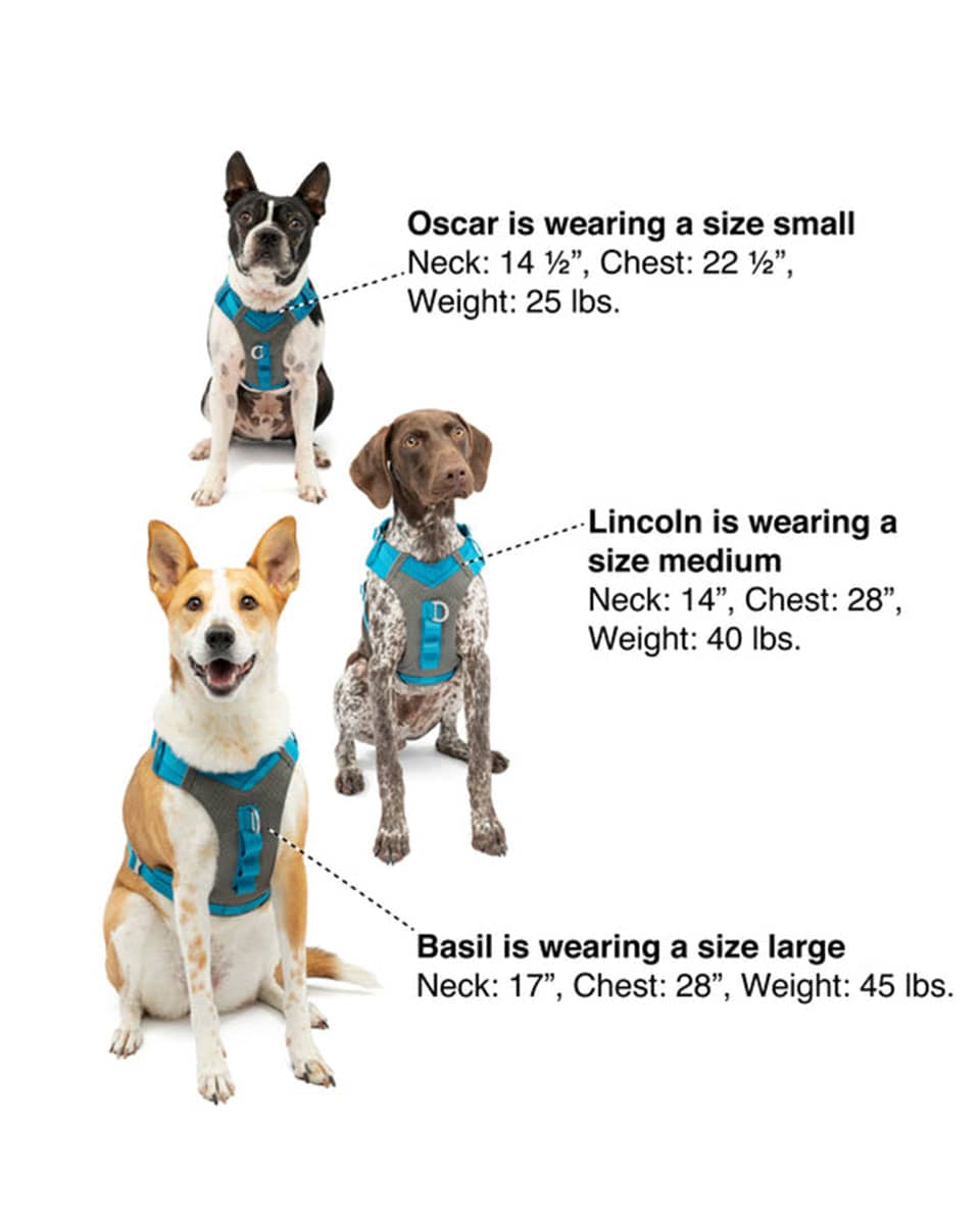 Kurgo Journey Air Dog Harness