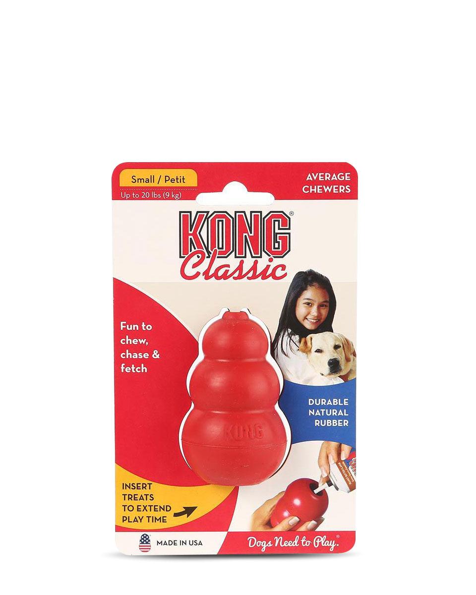 Kong Toy for Dogs