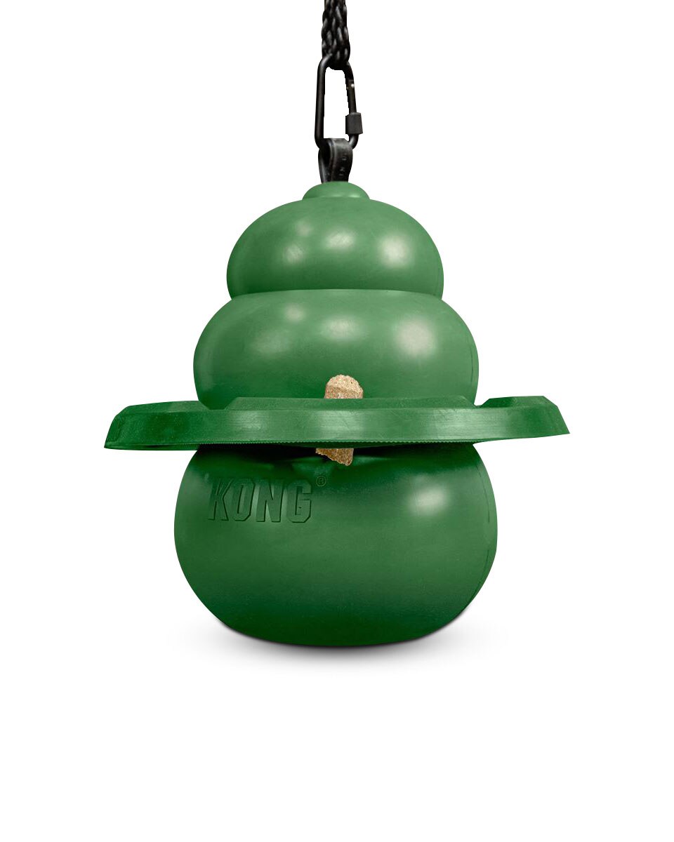 Equine Hanging Kit with Treat Ring from Kong