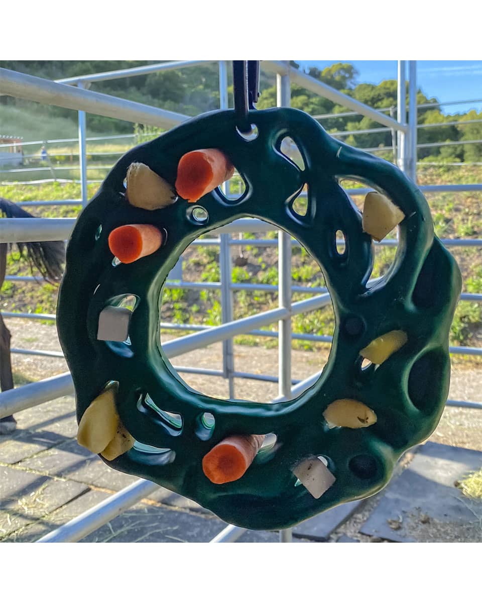 Equine Luna Ring with Rope Kore Specialty Products FarmVet