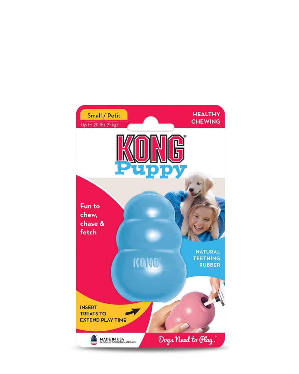 Kong Puppy Chew Toy