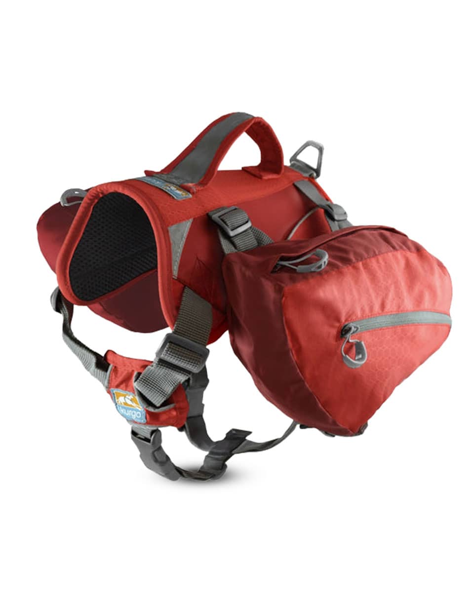 https://www.farmvet.com/site/images/Products/Kurgo-Baxter-Backpack_media-1.jpg