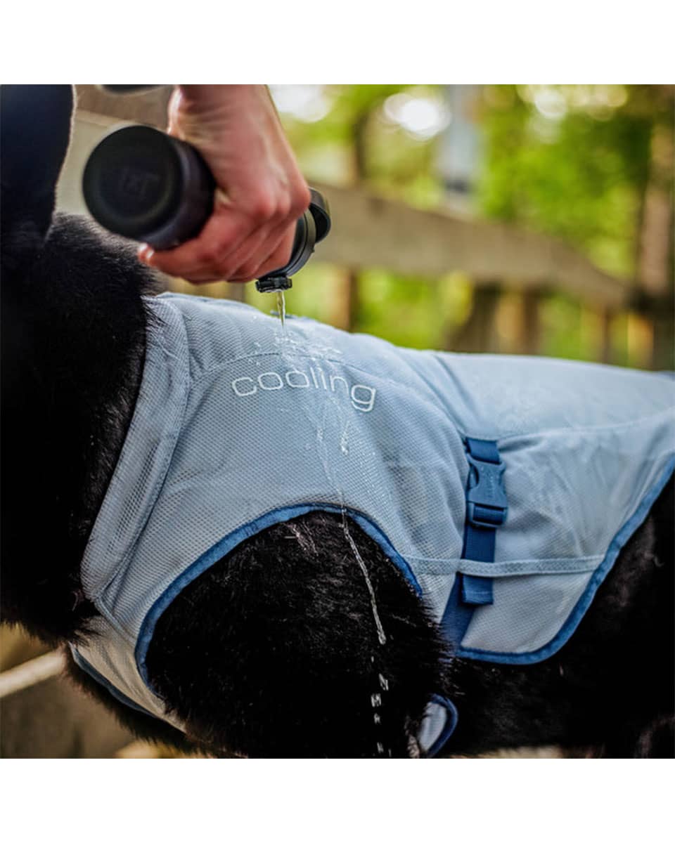 Kurgo Core Cooling Vest for dogs