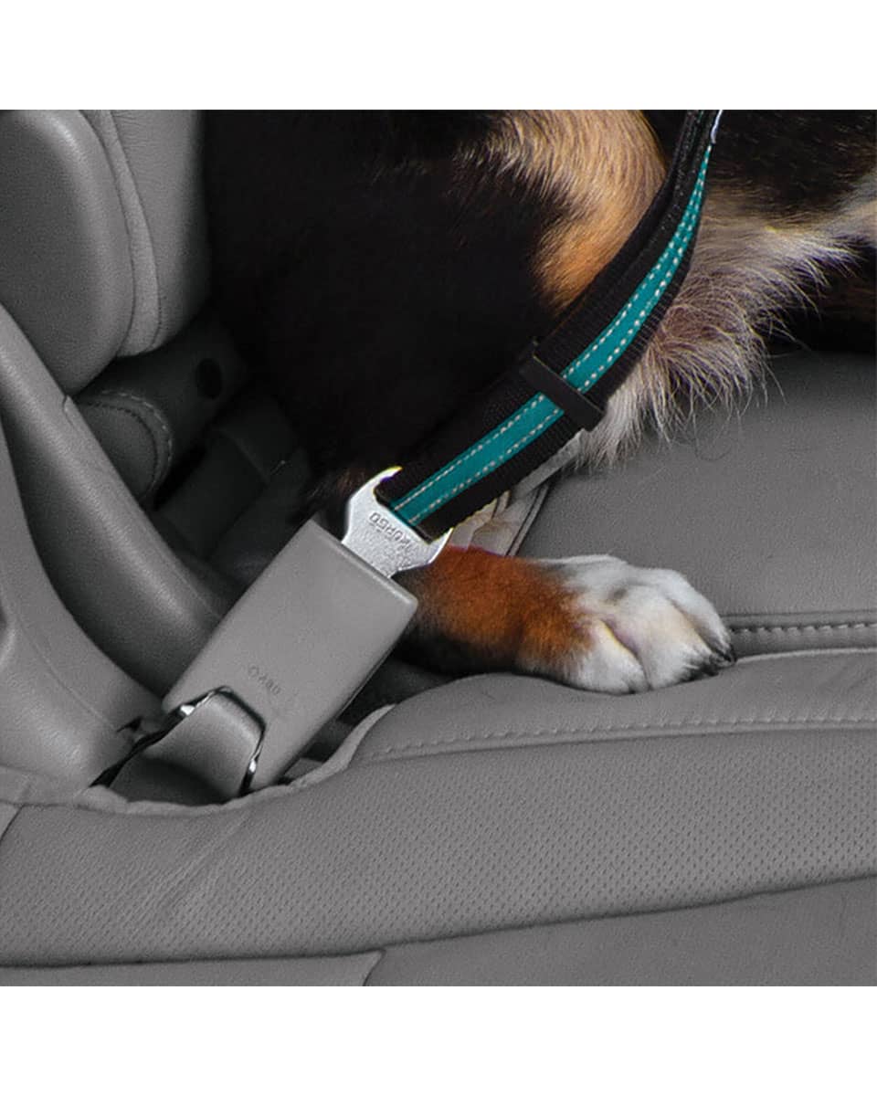 Kurgo Direct to Seatbelt Swivel Tether for dogs