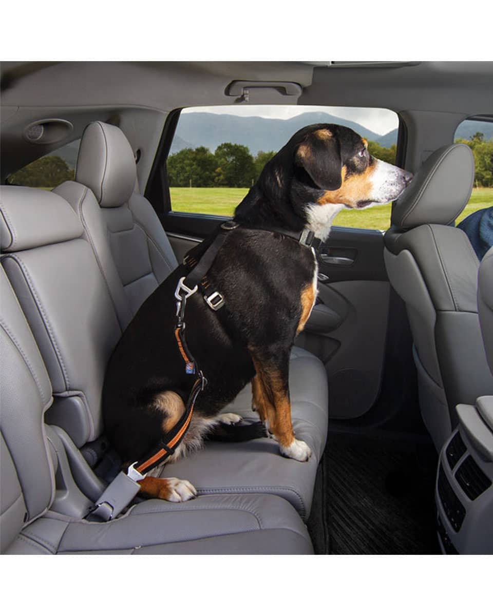 Kurgo Direct to Seatbelt Swivel Tether for dogs