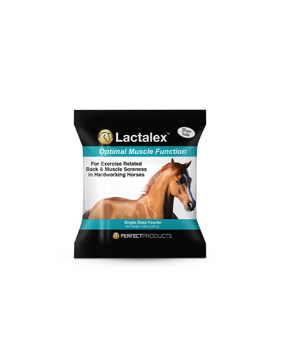 Perfect Products Lactalex performance horse supplement