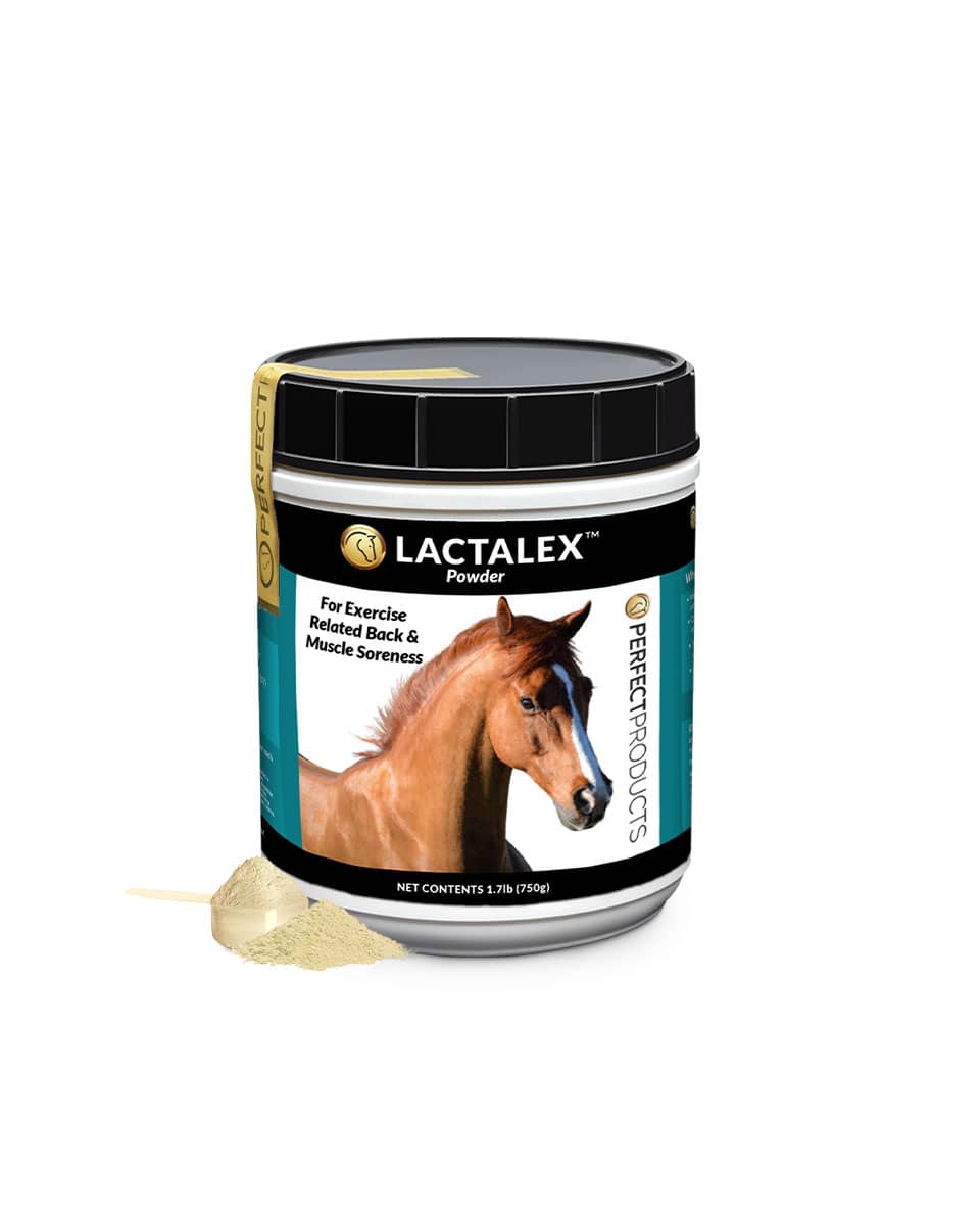 Perfect Products Lactalex performance horse supplement