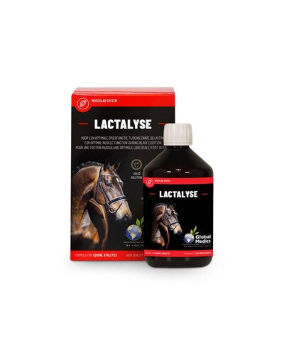 Global Medics Lactalyse - performance horse supplement