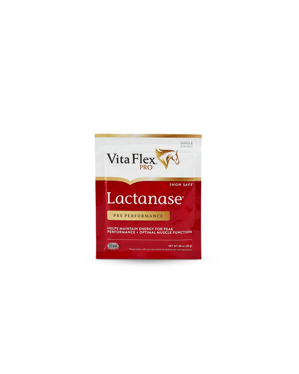 Lactanase performance supplement for horses from Vita-Flex