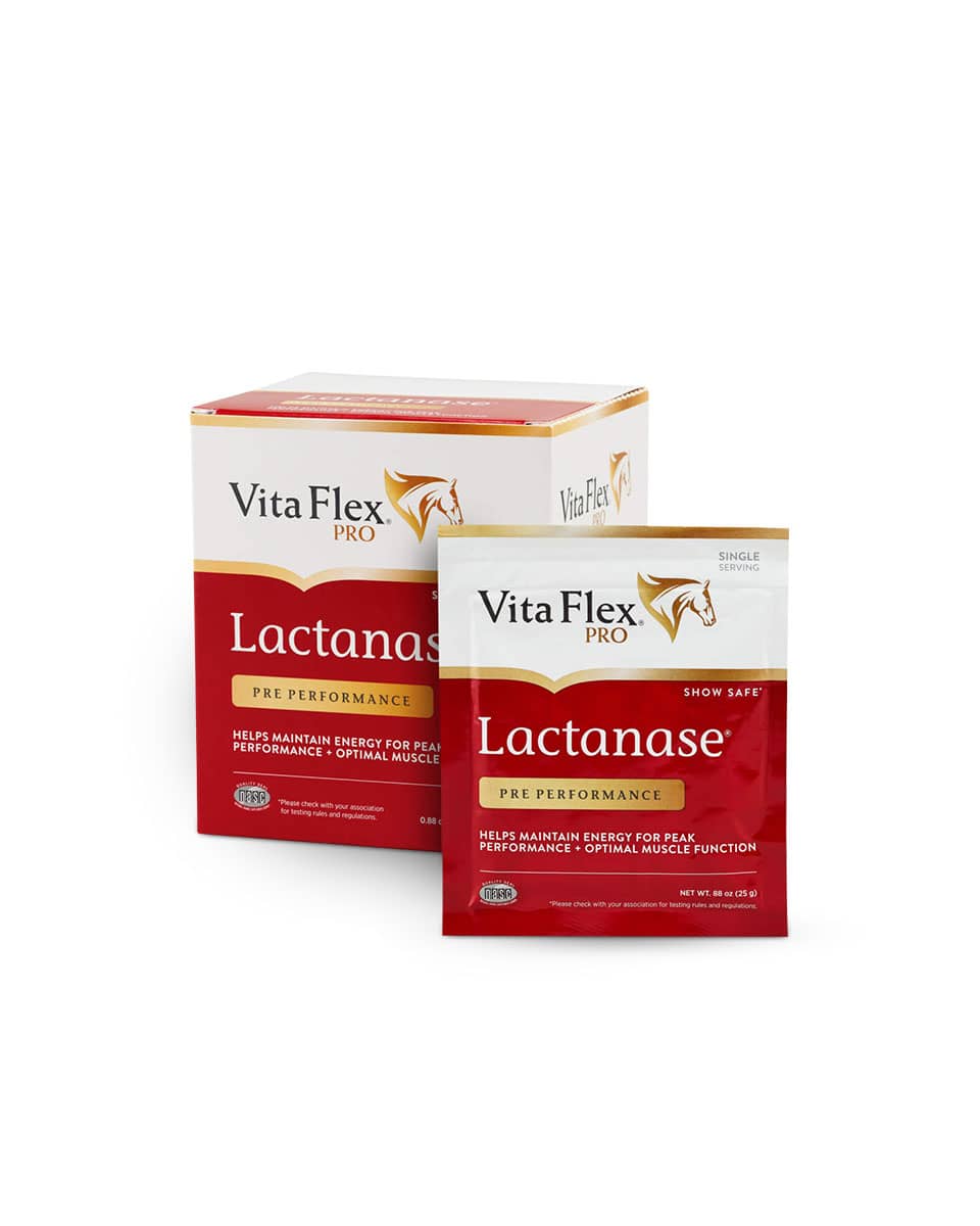 Lactanase performance supplement for horses from Vita-Flex