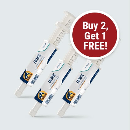 Lactatec Paste BOGO at FarmVet.com.