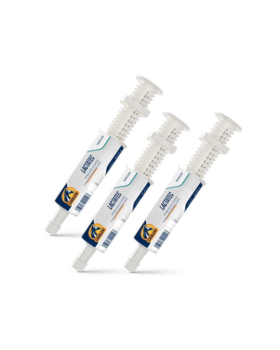 Cavalor Lactatec Paste (Buy 2, Get 1 Free)