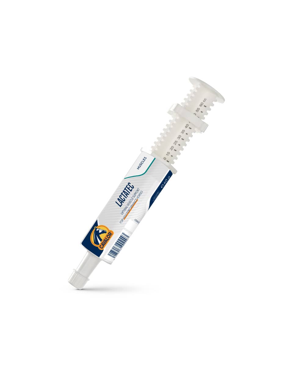 Cavalor LactaTec Paste 60cc