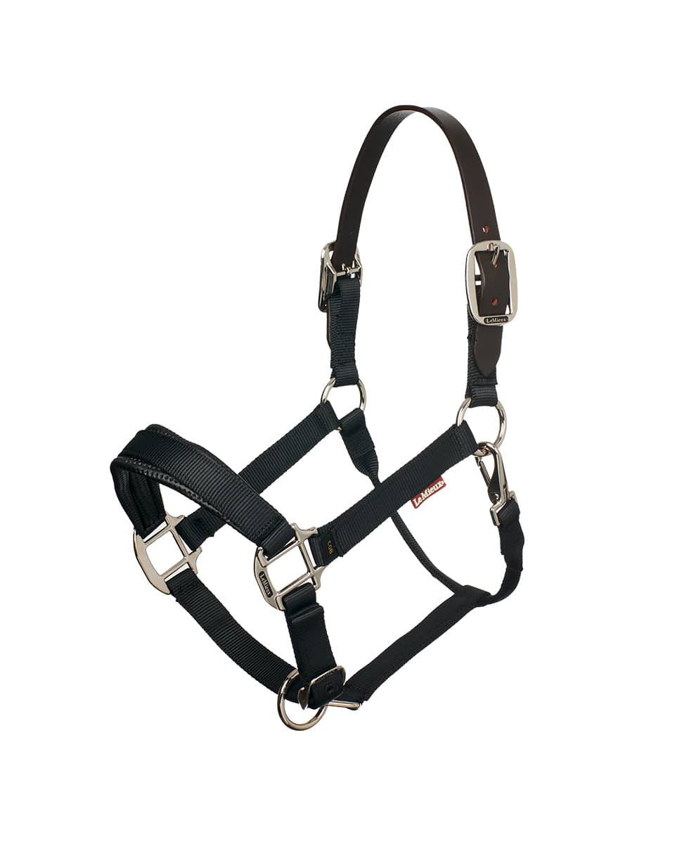 Black Breakaway Halter by LeMieux