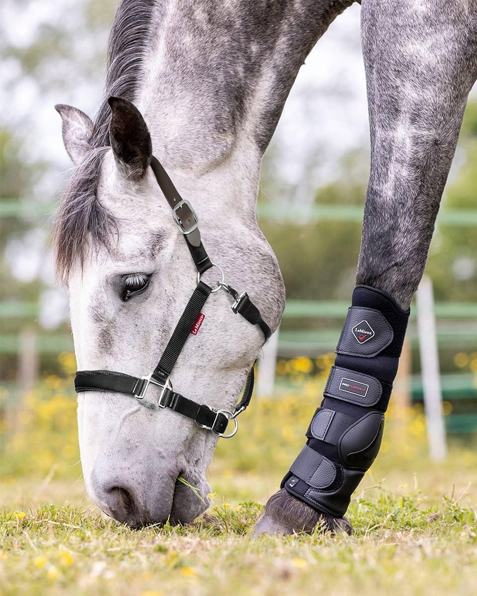 LeMieux Breakaway Halter
