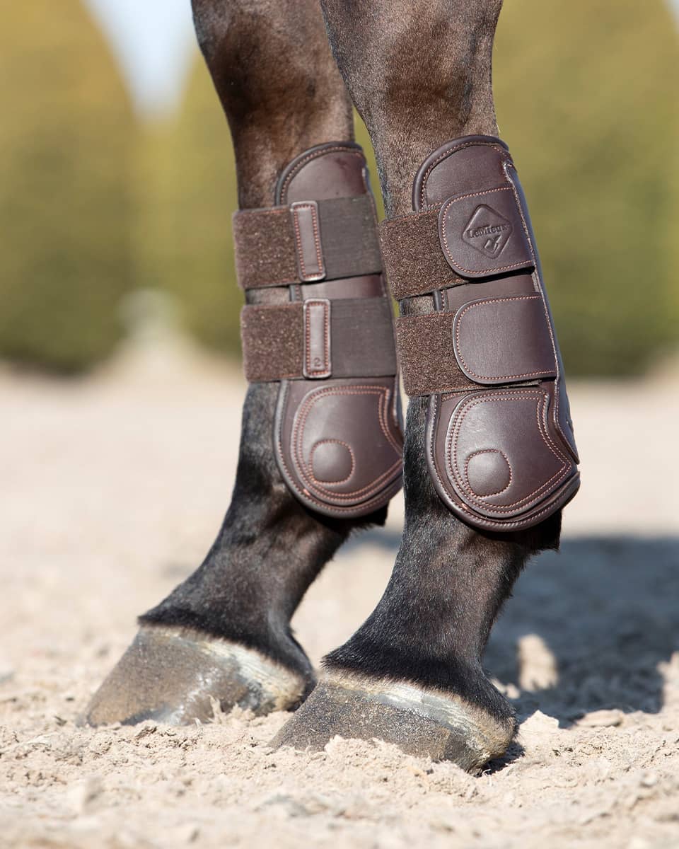 Brown LeMieux Capella Tendon Boots