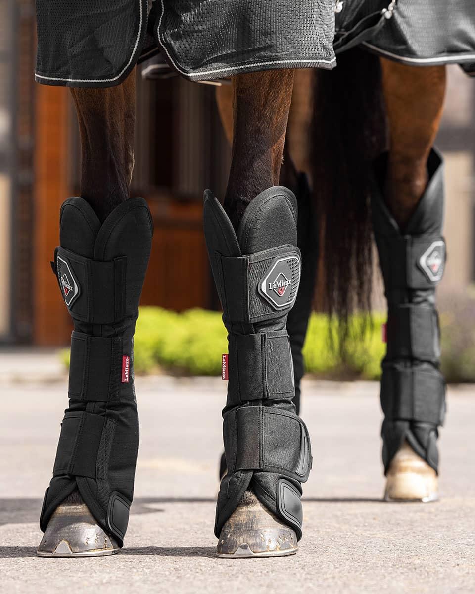LeMieux Travel Boots on Horse
