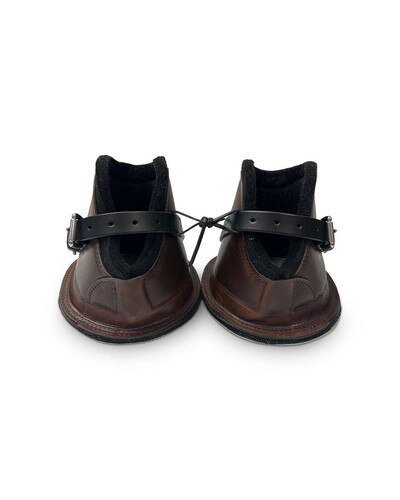 Horse Cents Leather Kicking Boots for horses with Buckle Front Closure