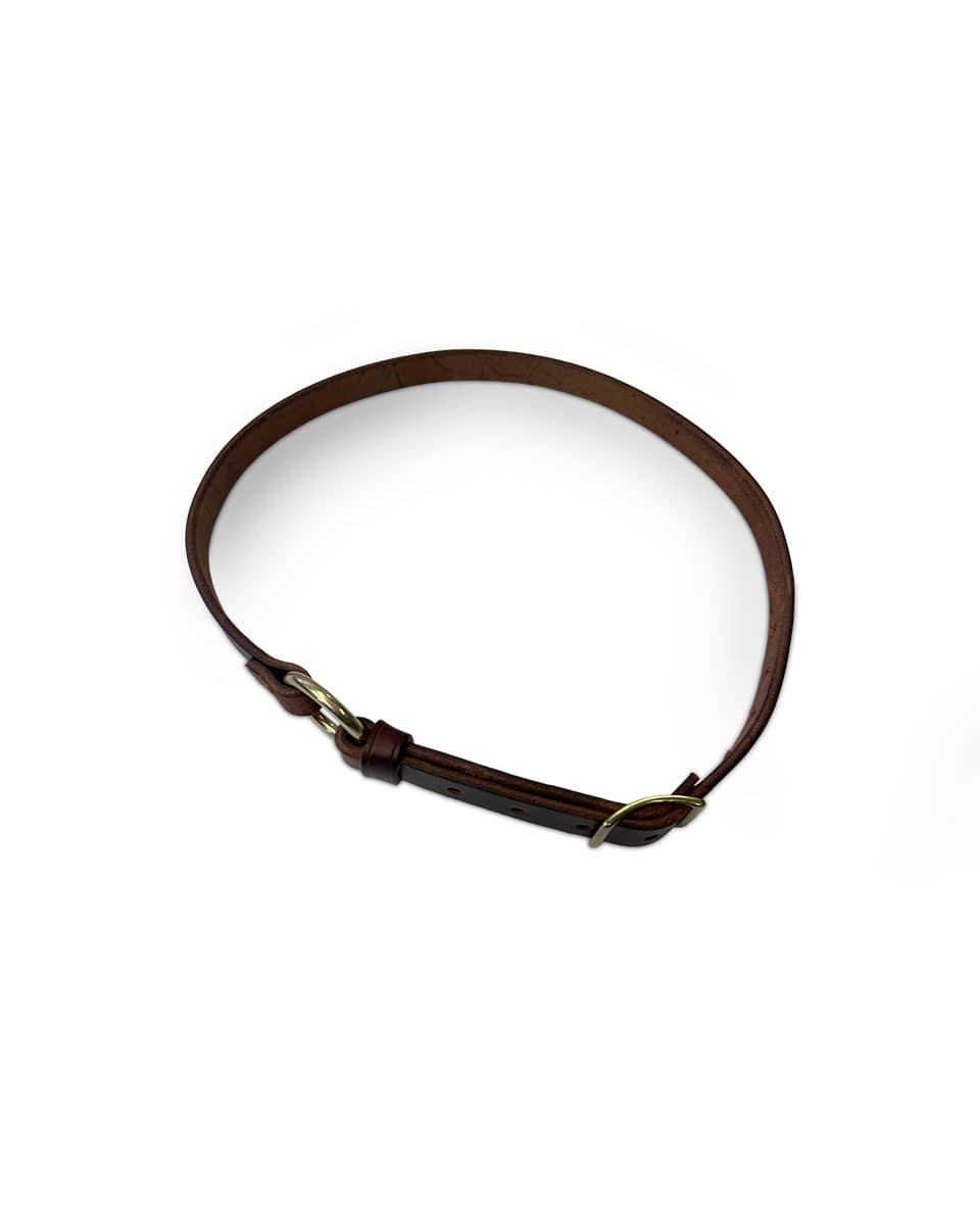Horse Cents Leather Neckstrap with Conway buckle