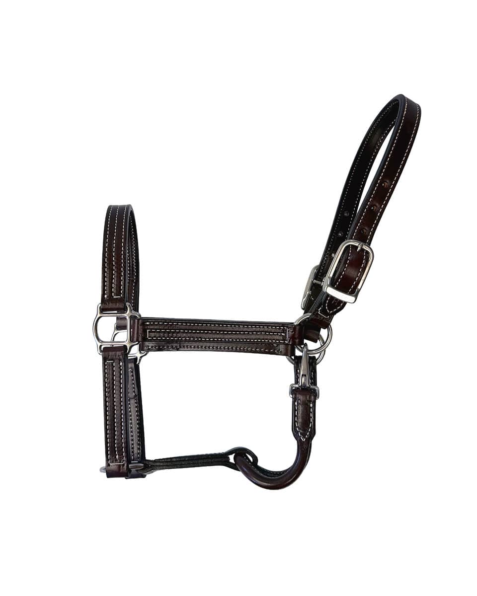 Horse Cents Leather Show Halter SS with stainless steel hardware and dark brown leather