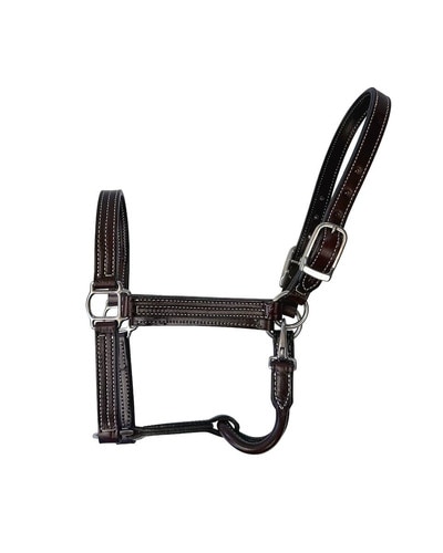 Horse Cents Leather Show Halter SS with stainless steel hardware and dark brown leather