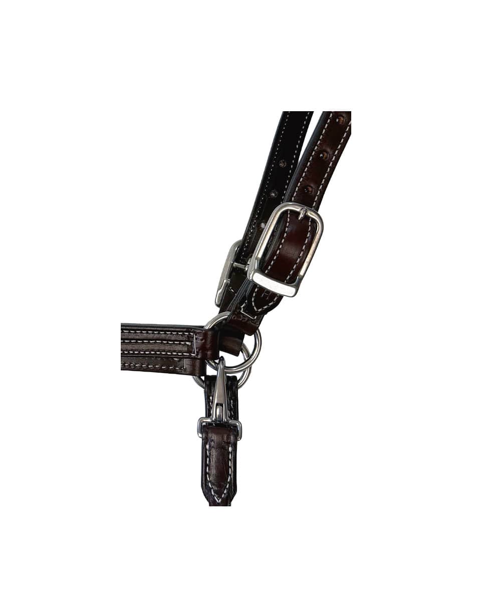 Horse Cents Leather Show Halter SS