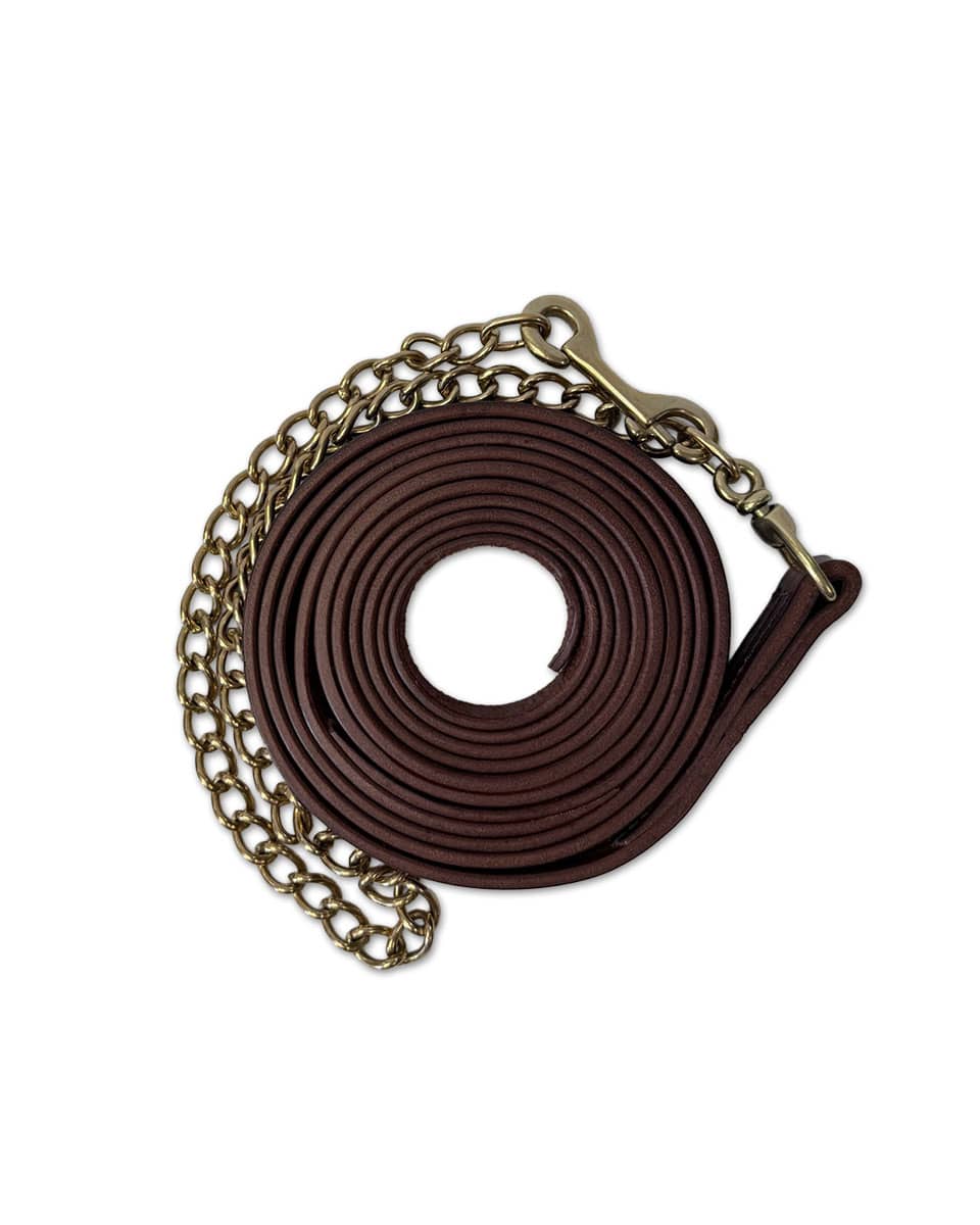 Horse Cents Leather Stallion Lead Shank